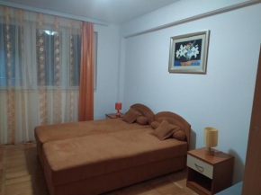 Apartman Banja Koviljaca